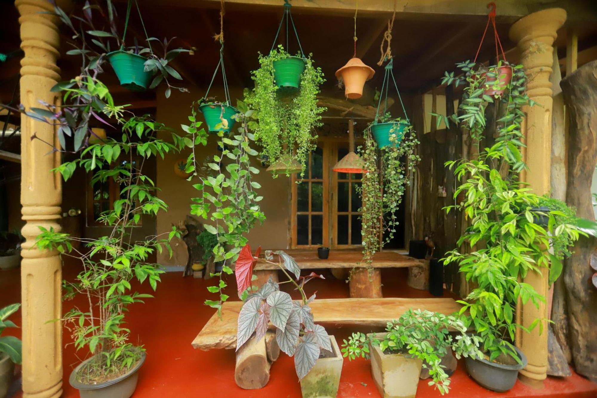 סיגירייה Dinna Nature Hostel מראה חיצוני תמונה