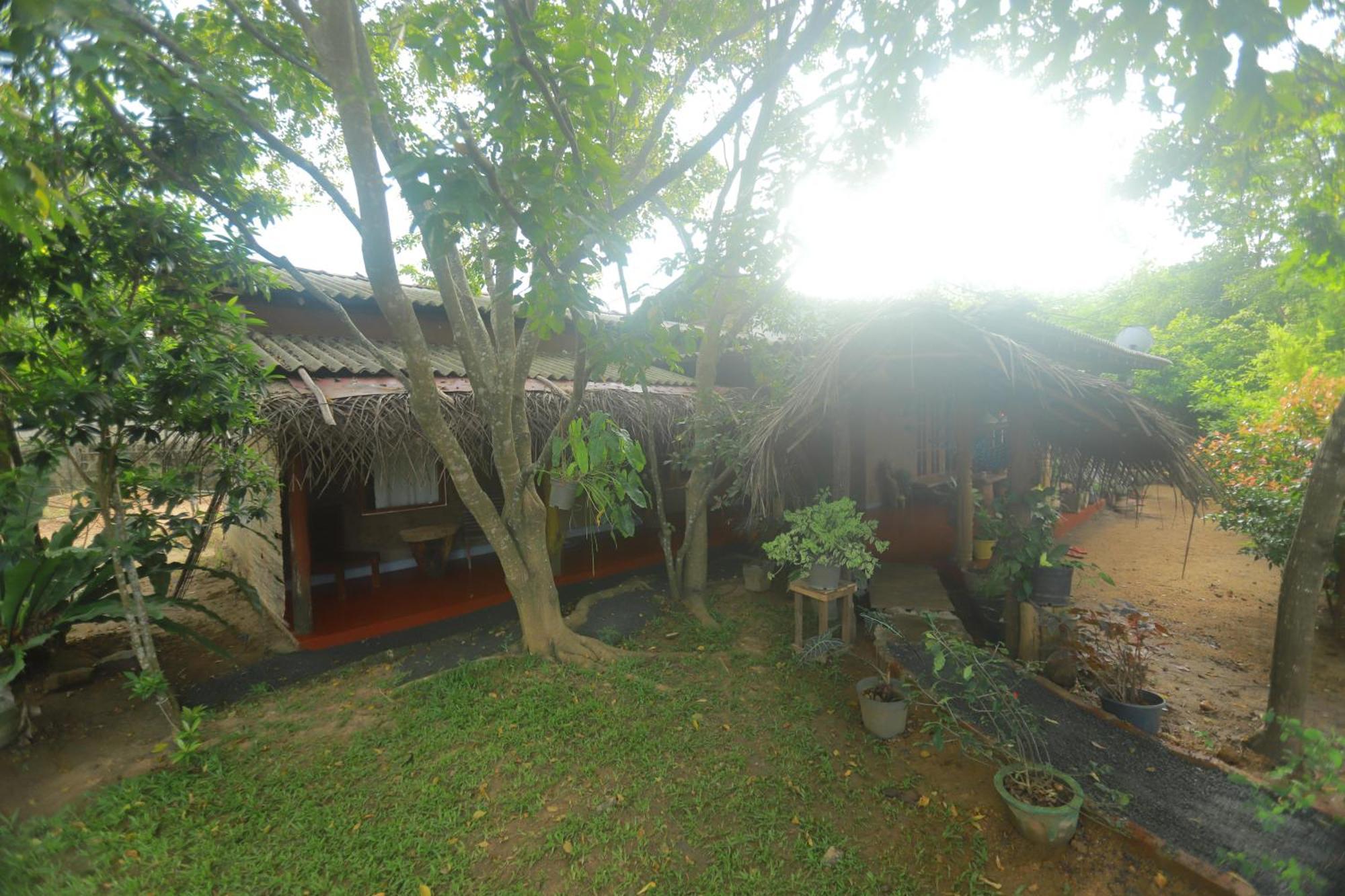 סיגירייה Dinna Nature Hostel מראה חיצוני תמונה